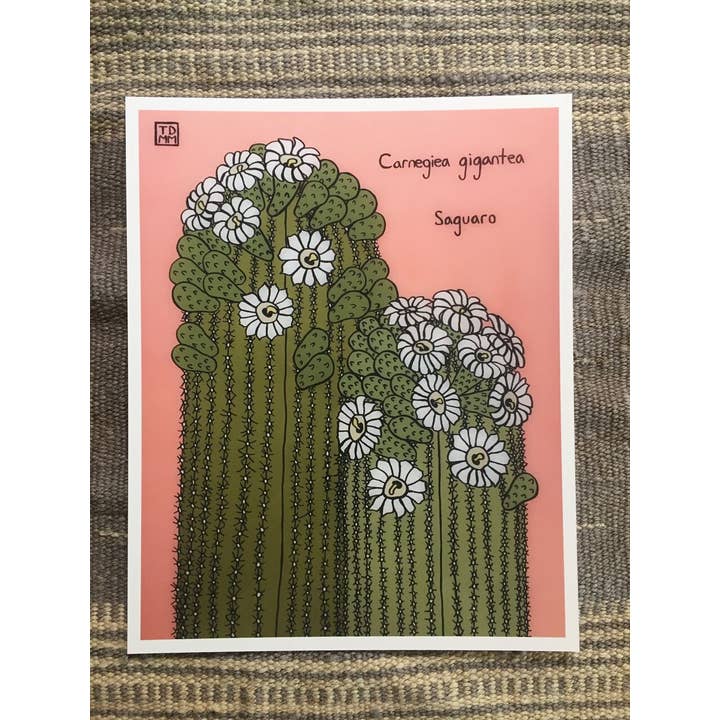 Double Saguaro for wholesale by Sonoran Witch Boy