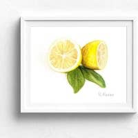 Rachel Alvarez Art - Wholesale Art Print - Watercolor Lemon Print1
