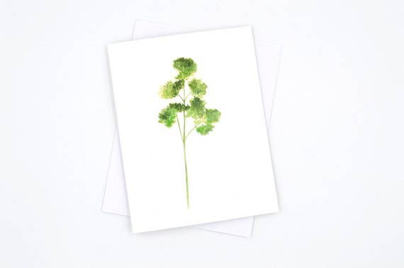 Rachel Alvarez Art - Wholesale Stationery/Notecard Set - Herb Greeting Cards5