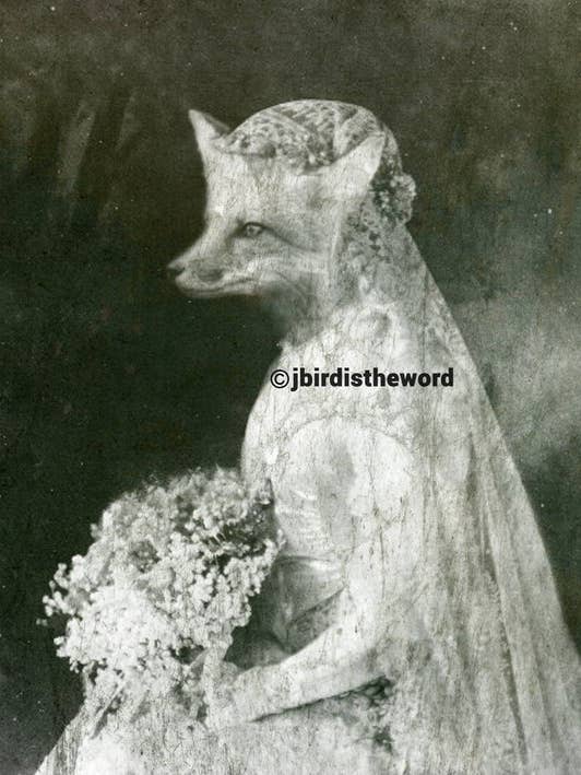 Fox Bride Print, Bride to Be, Bridal Shower for wholesale by The Wild Oddisorium