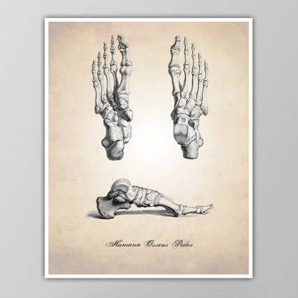 8” x 10” Feet Human Anatomy Art Print for wholesale by The National Anthem