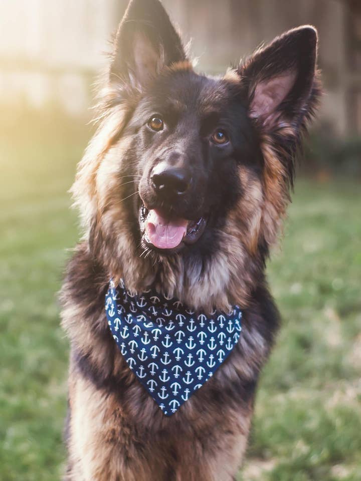 Medium Over The Collar Bandanas for wholesale by Playful Fox & Co.