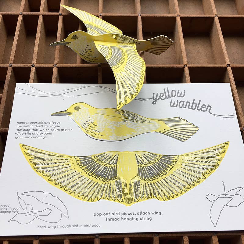 Blackbird Letterpress - Wholesale Everyday Greeting Card - warbler pop-out bird card1