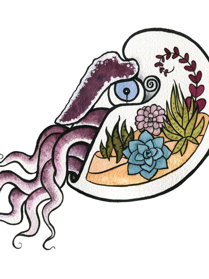 Nautilus Terrarium for wholesale by Danielle V Designs