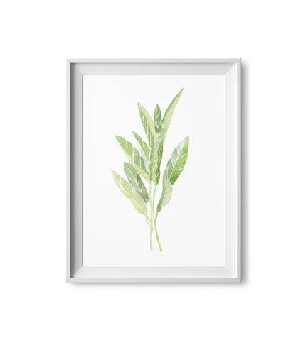 Lilac Paperie - Wholesale Art Print - 11” x 14” Sage Herb Watercolor Print0