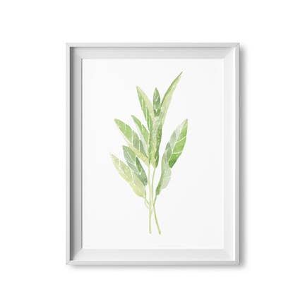 Lilac Paperie - Wholesale Art Print - 11” x 14” Sage Herb Watercolor Print0