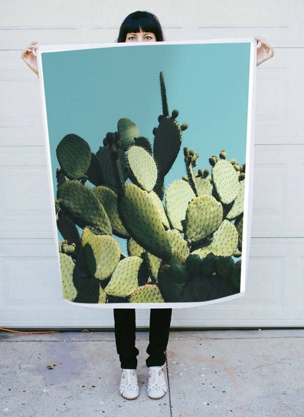 Capricorn Press - Wholesale Art Print - Large Prickly Pear Cactus in Blue1