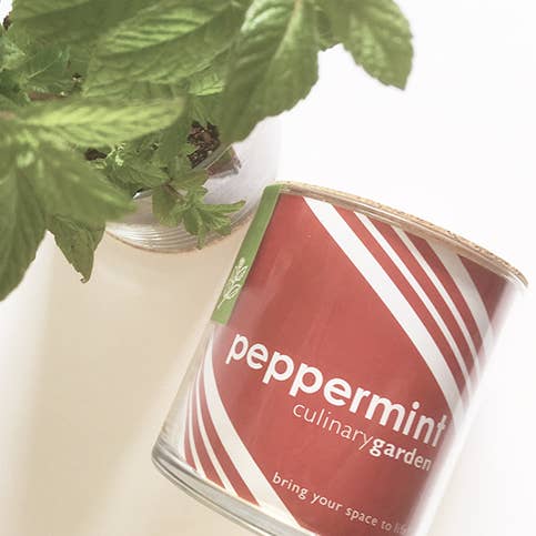 Essential Peppermint Garden | Valentine . Tea . Spring for wholesale by Potting Shed Creations, Ltd.