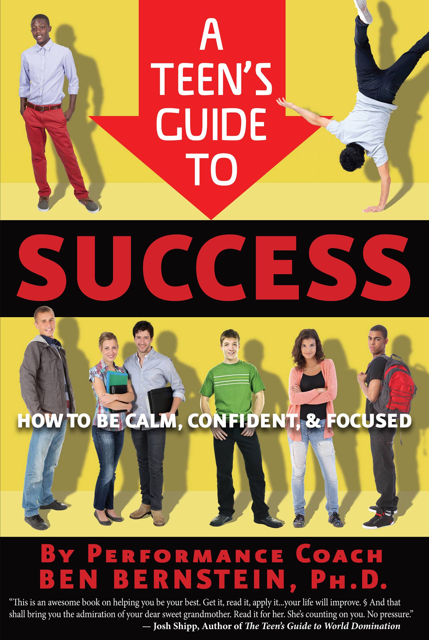 Familius, LLC - Wholesale Teen & Young Adult Book - A Teen's Guide to Success0