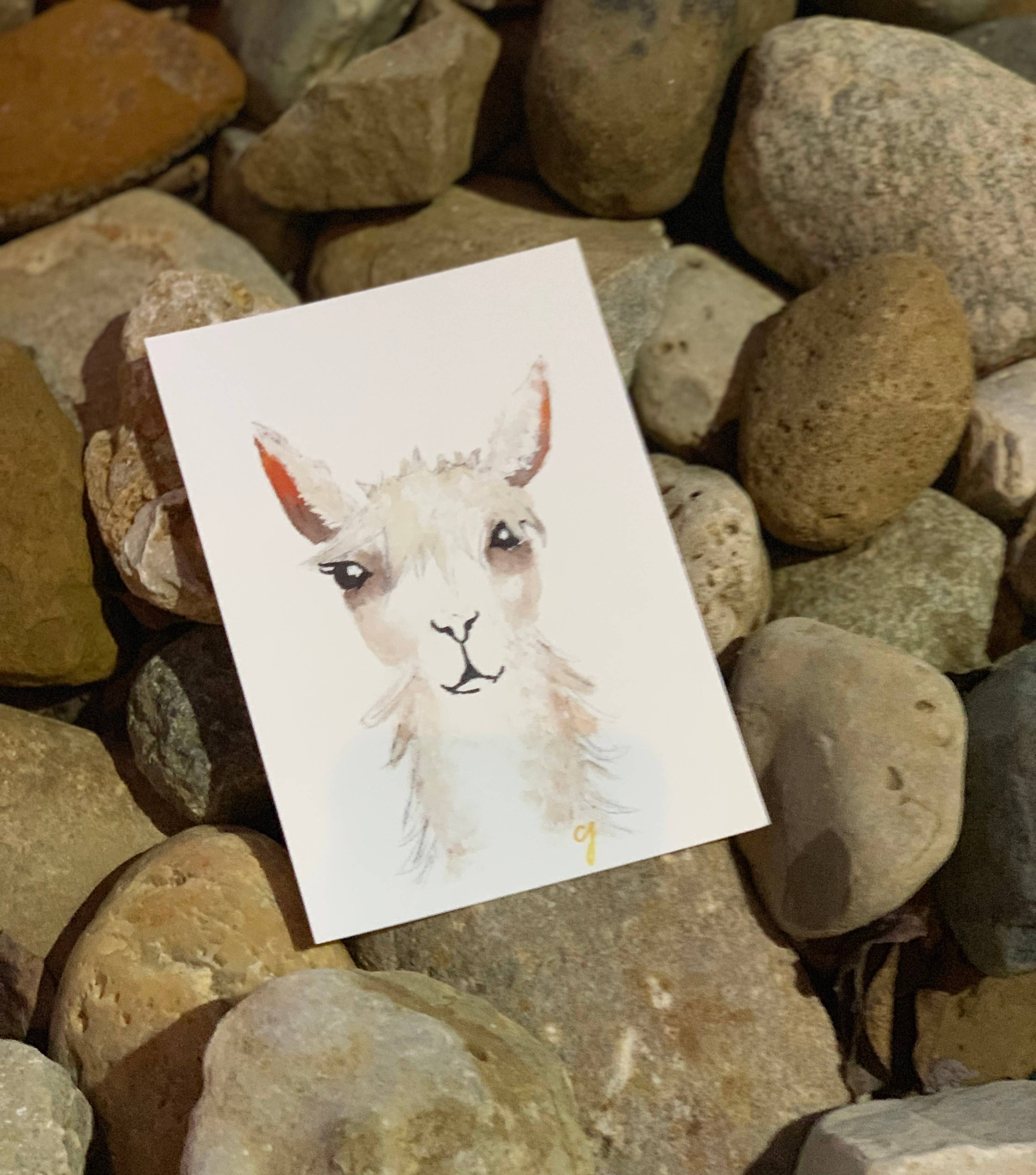 claire jordan designs - Wholesale Gewone wenskaart - Alpaca Wenskaart | Blank | Omlijstbaar kunstwerk2