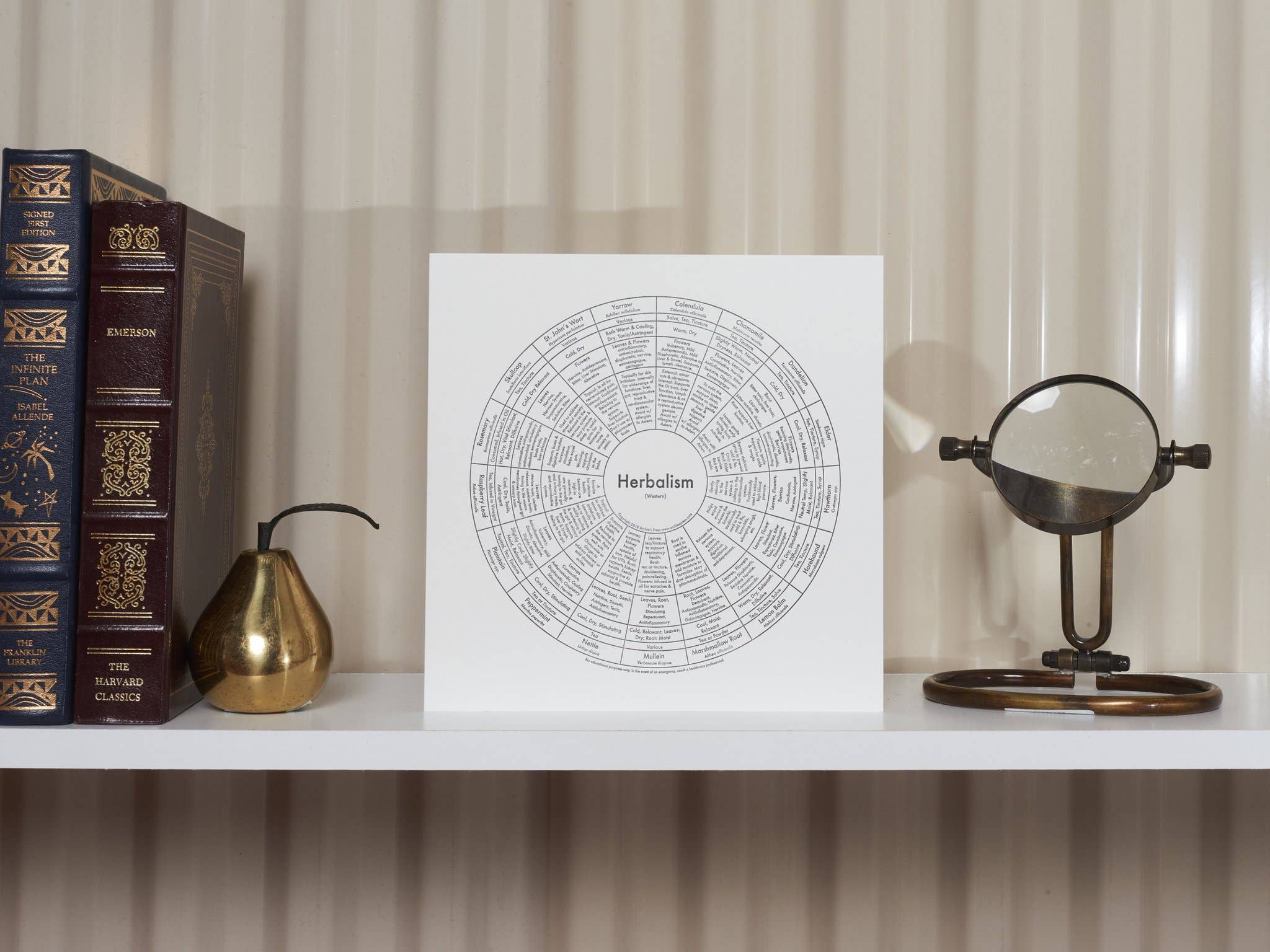 Archie's Press – Großhandel Kunstdruck – Heilpflanzen-Schautafel Druck2