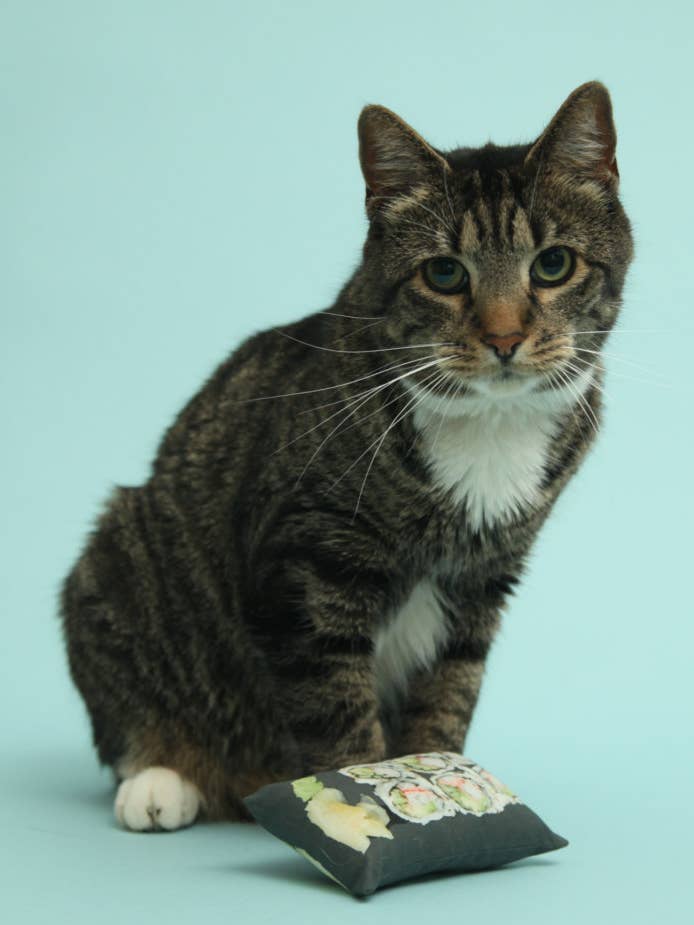 California Roll Sushi kat legetøj for engroshandel hos Polydactyl