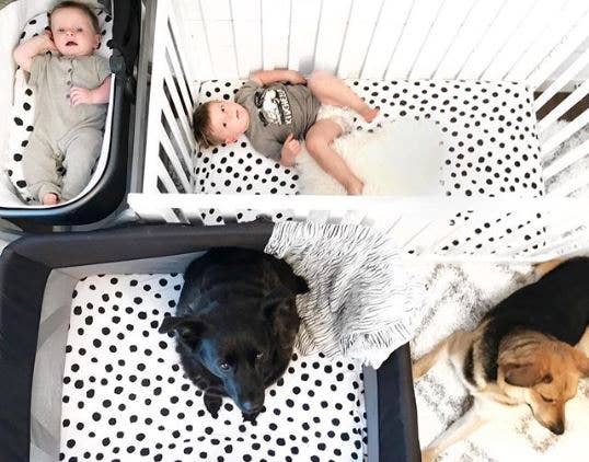 Ely’s & Co. - Vente Drap pour berceau/lit pour bébé - Pack et drap de jeu - Lot de 2 (variante)5