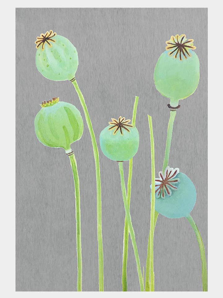 11” x 16” Poppy Pods on Grey Art Print for wholesale by India & Purry by Jessica Hollander