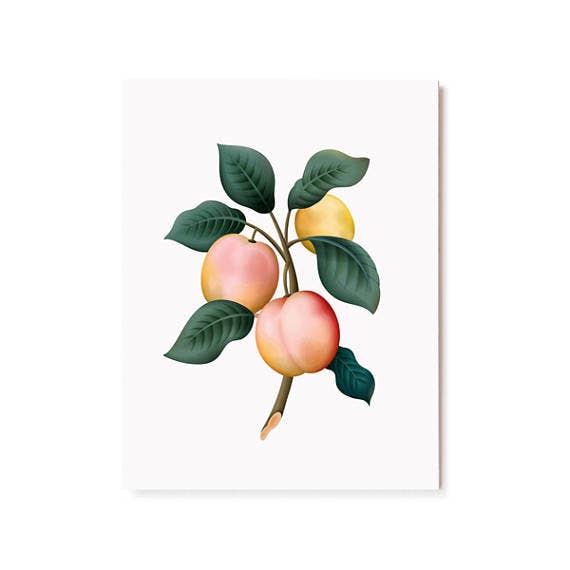 Clap Clap - Vente Carte de vœux classique - Carte parfumée botanique - Prune2