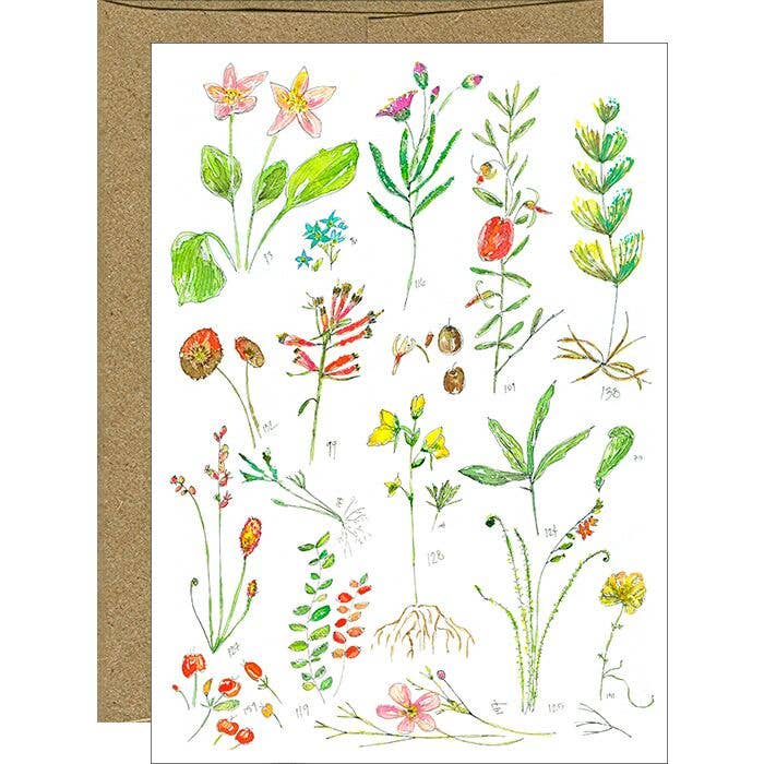 Botanical Watercolor Sketchbook Page #1 Blank Notecard for wholesale by Pink Bathtub Designs