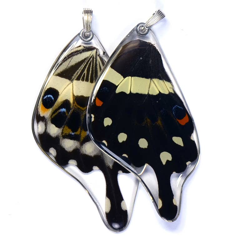 Wingstitution - Wholesale Individual Charm/Pendant - 0285 Wing Pendant ONLY, Central Emperor Swallowtail, bottom0