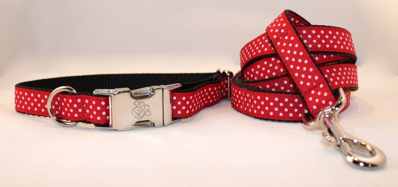 Sophisticated Pup – Großhandel Haustierhalsband – Hund – Regenbogen Dot Halsband und Leine Collection groß0