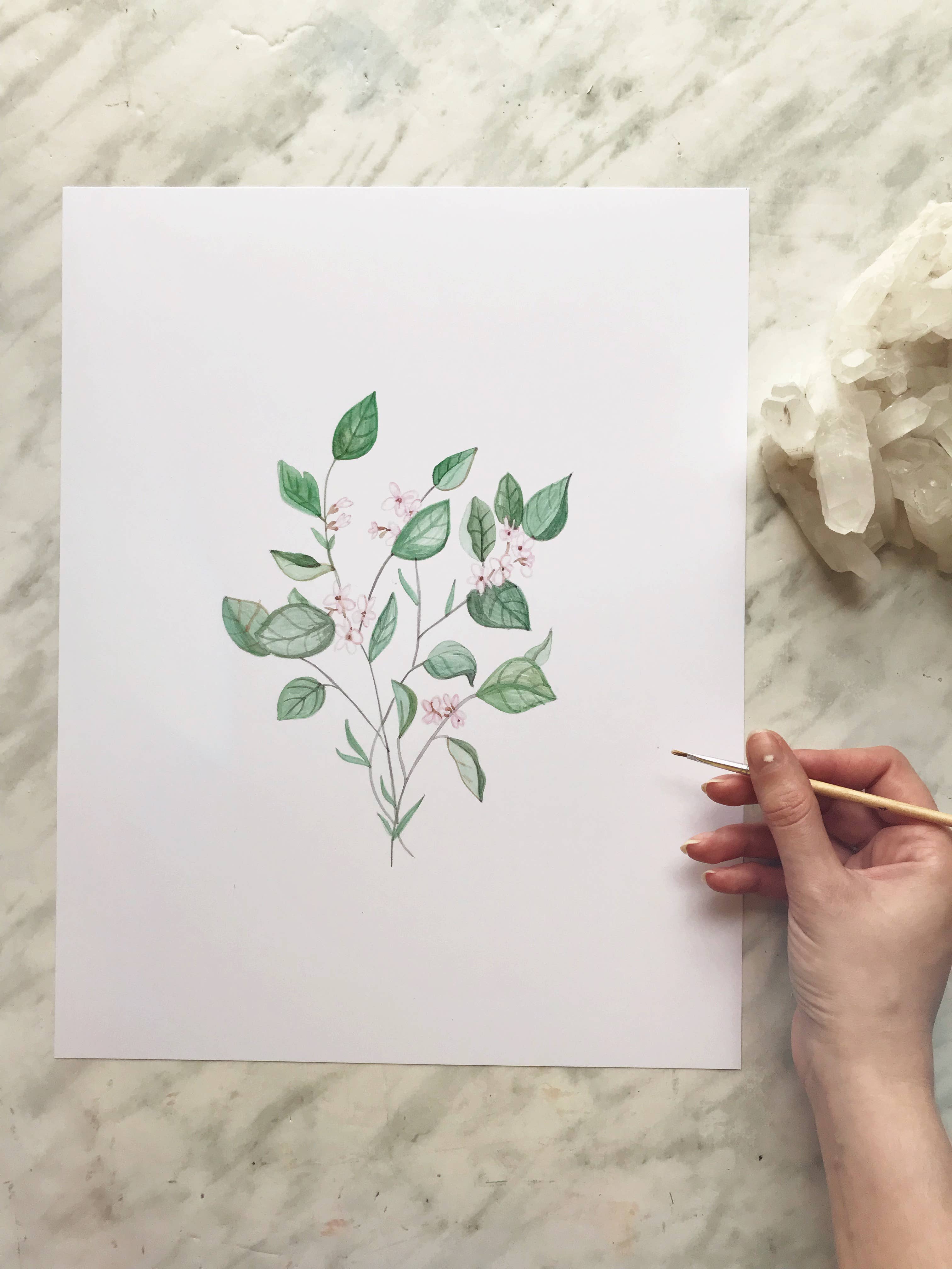 Katelyn Morse Art - Wholesale Art Print - Mayflower Art Print 8x101