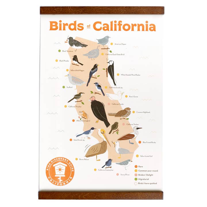 11x17 Birds of California Sticker Map for wholesale by Ello There Outdoors