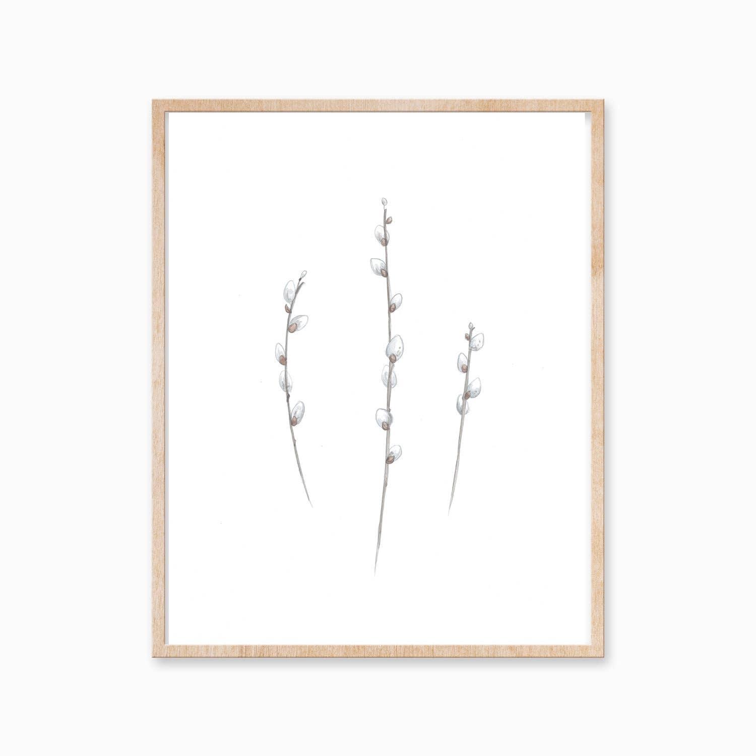 Katelyn Morse Art - Wholesale Art Print - Pussy Willows Art Print 11X141