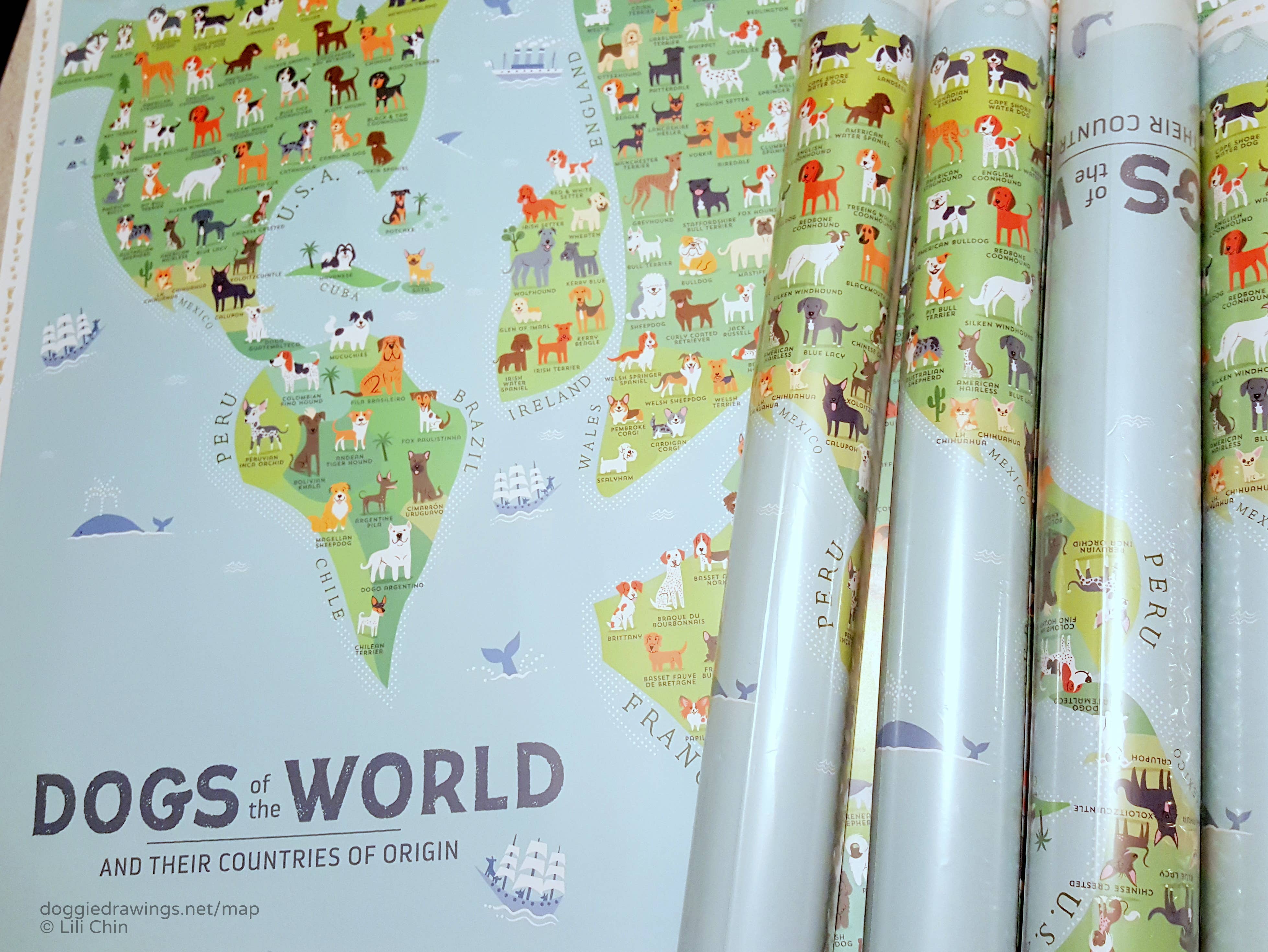 Lili Chin Art - Wholesale Poster - 36'' x 24'' Dogs of the World Map Poster1