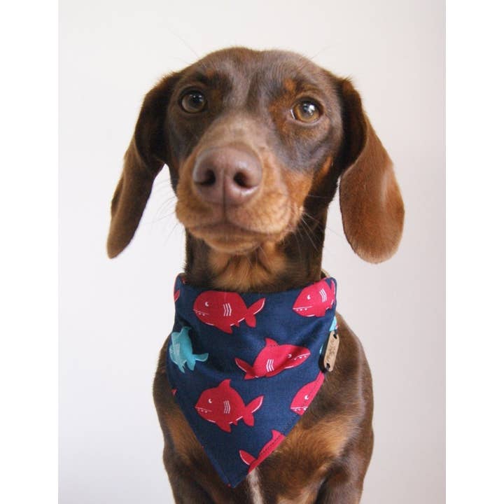 Playful Fox & Co. - Wholesale Pet Bandana - Dog - Small Over The Collar Bandanas
