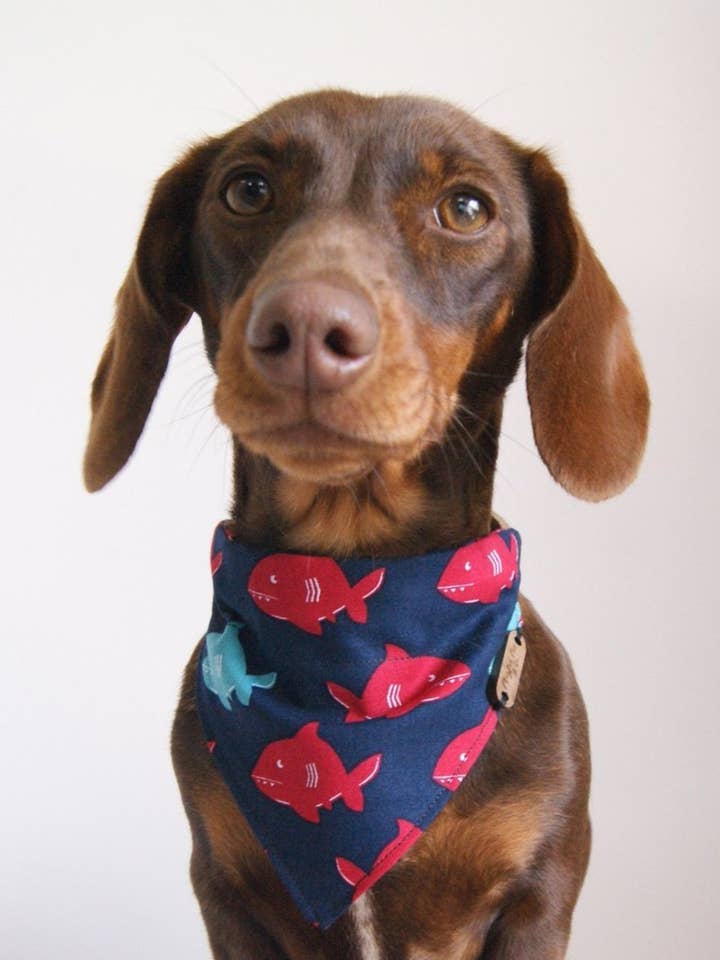 Small Over The Collar Bandanas for wholesale by Playful Fox & Co.