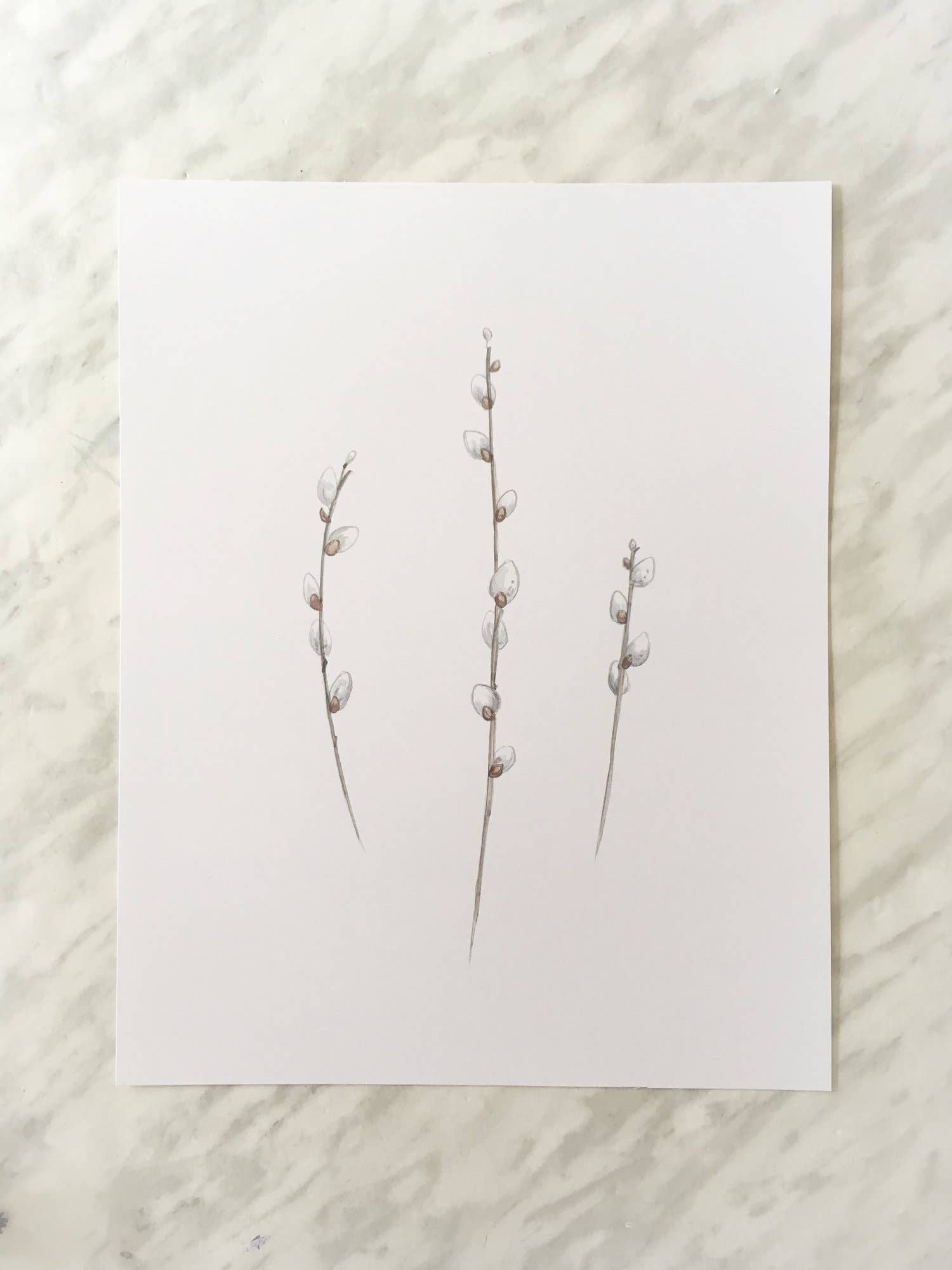 Katelyn Morse Art - Wholesale Art Print - Pussy Willows Art Print 11X145