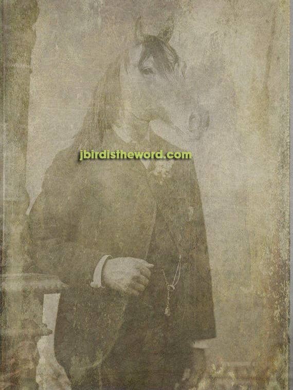 Horse Print, Equine Equestrian, Vintage Farm Style for wholesale by The Wild Oddisorium