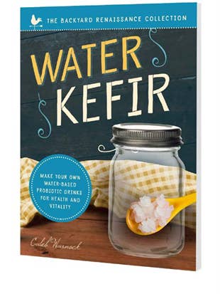 Water Kefir - A Comprehensive Cookbook for wholesale by Familius, LLC