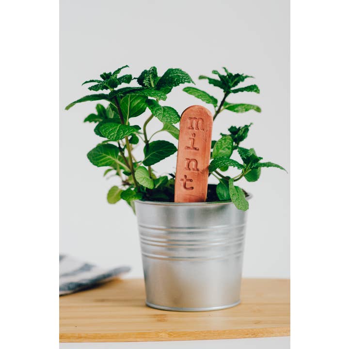 Mud & Maker - Wholesale Garden/lawn stake - Garden Markers - VEGGIES Category5