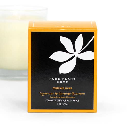 6 oz Geschenkbox Glaskerze Lavendel/Orangenblüte Kokosnusswachs w/Real Essential Oils für den Großhandel von Pure Plant Home