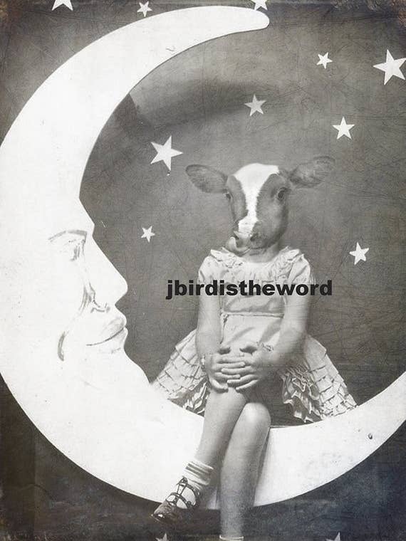 Cow Print, Farm Country Style, Nursery Rhyme, Baby for wholesale by The Wild Oddisorium