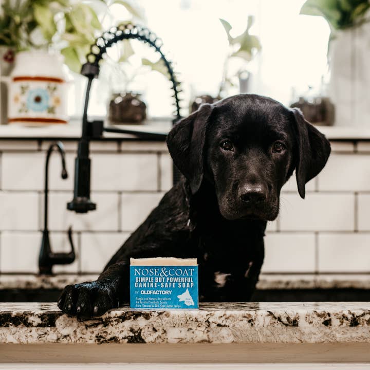 Old Factory Soap + Parousia Perfumes - Wholesale Pet Soap - Dog - Nose & Coat Natural Dog Soap 4oz Bar3