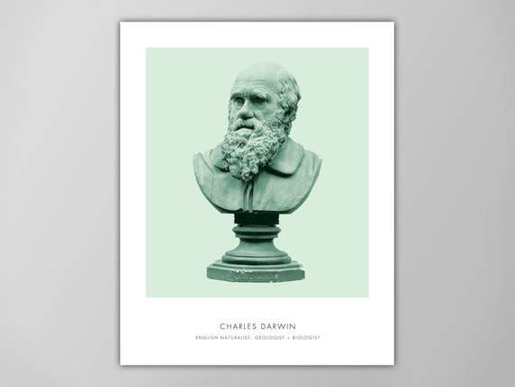 The National Anthem - Wholesale Art Print - 11” x 14” Darwin Art Print0