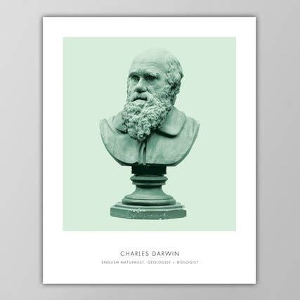 The National Anthem - Wholesale Art Print - 11” x 14” Darwin Art Print0