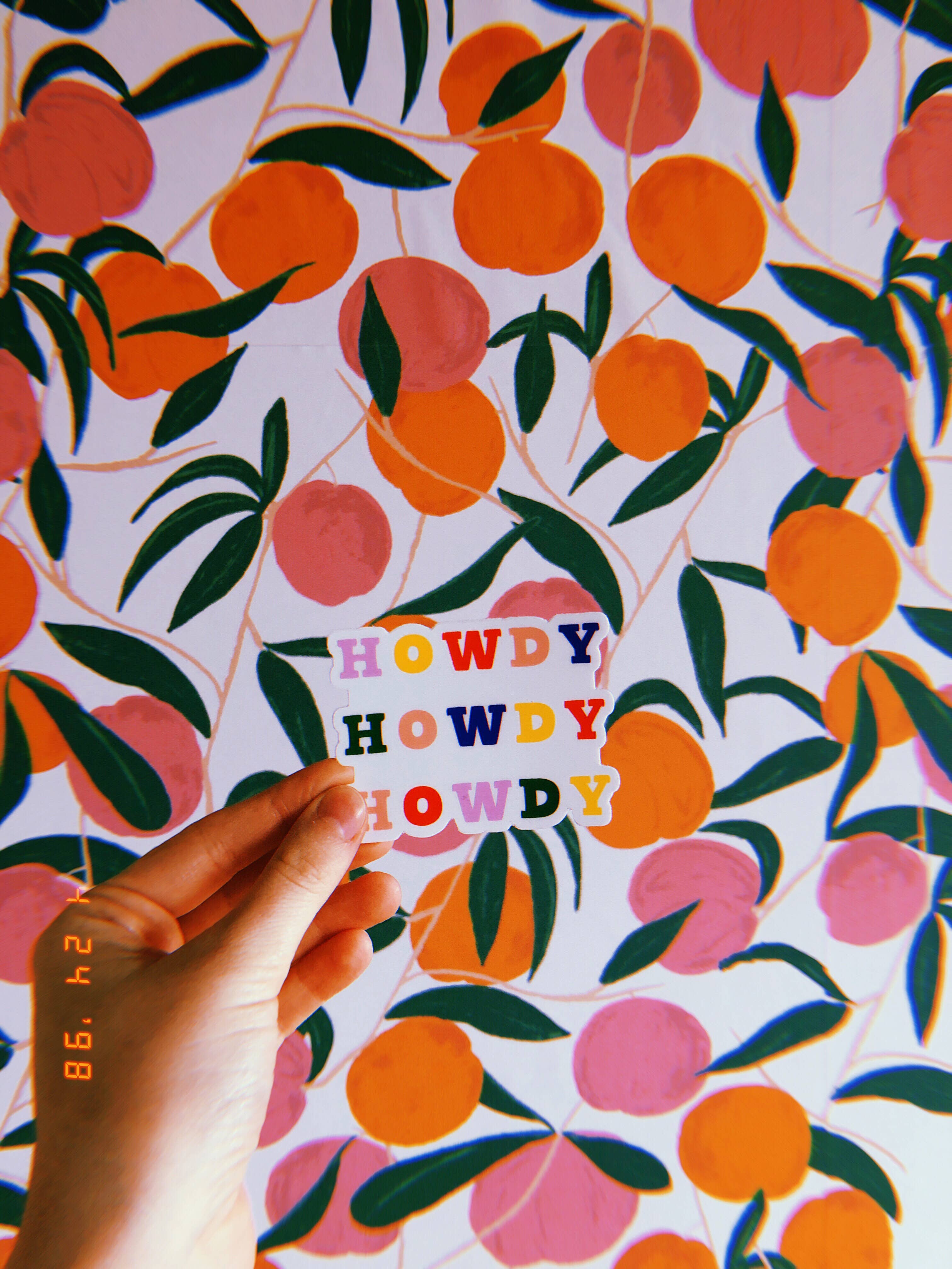 Luella - Wholesale Sticker - Rainbow Howdy Sticker1