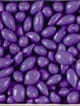 Bulk -Purple Sunny Seeds 5 lb. bag for wholesale by Sunflower Food Company