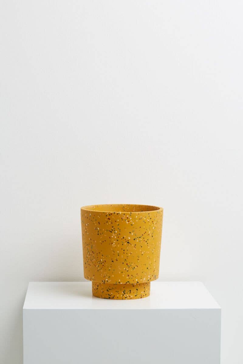Capra Designs - Venta al por mayor Macetas - Terrazo - Maceta para banjo, color dorado1