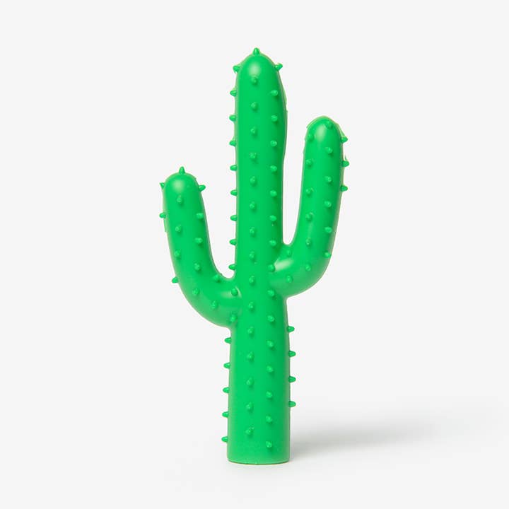 Silly Succulent Cactus Hundespielzeug für den Großhandel von Waggo