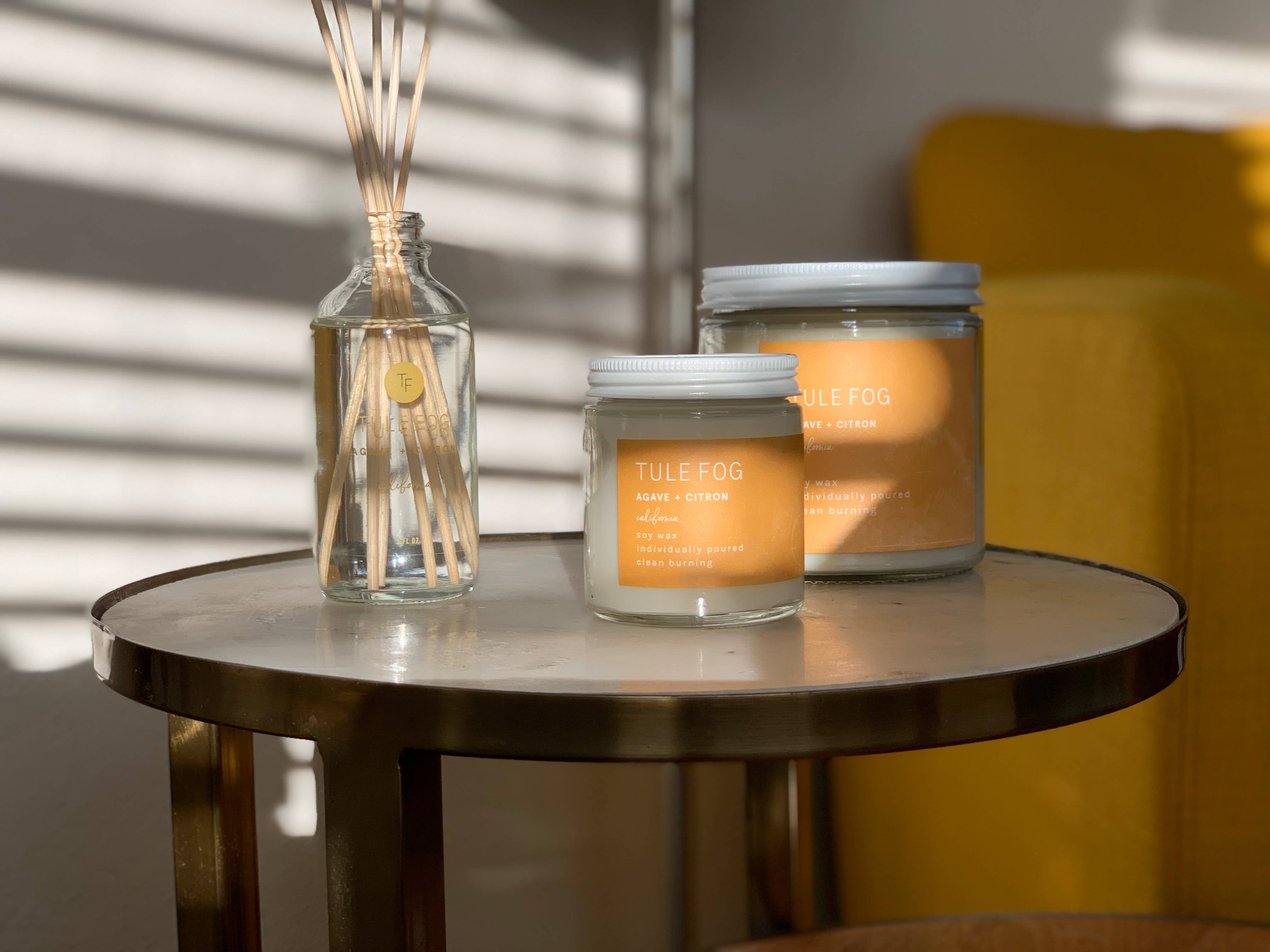 Tule Fog Candles – Großhandel Kerze im Glas / gefüllte Kerze – Agave + Citron Soja-Kerze Mini 3,5 oz1