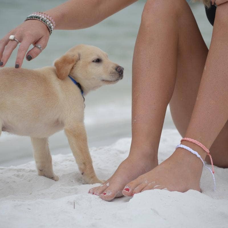 Kanio - Wholesale Anklet - Love  Anklet3