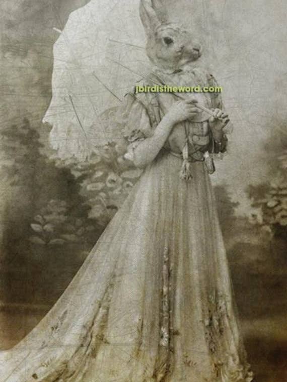 Bunny Print, Victorian Edwadian, Whimsical Rabbit for wholesale by The Wild Oddisorium