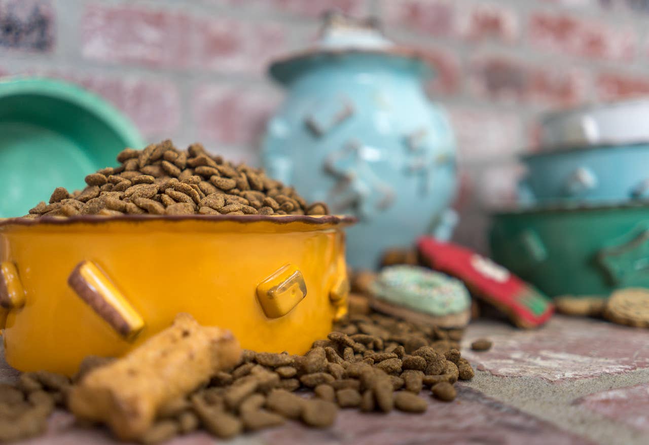 Carmel Ceramica - Vente Gamelle – chat et chien - Nourriture et bol d'eau pour chien - Petit caramel1