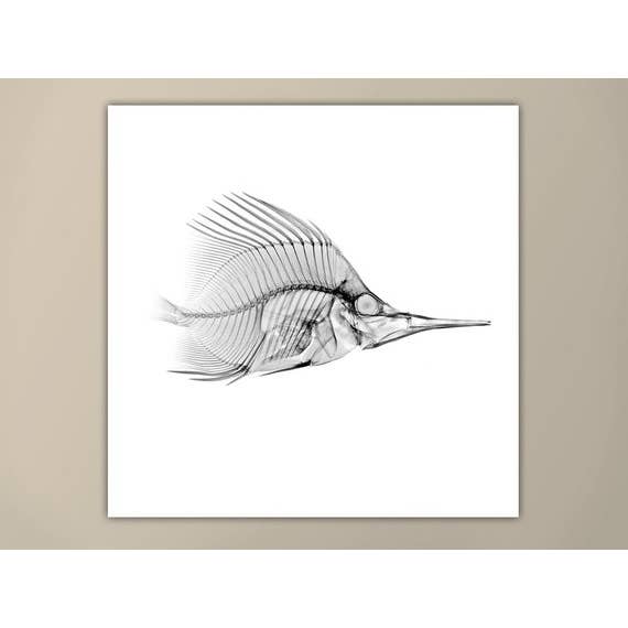 8” x 8” Nautical X-Ray Art Print No. 08 for wholesale by The National Anthem