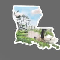 Rachel Alvarez Art - Wholesale Sticker - Louisiana State Vinyl Laptop Decal Sticker (mini)1
