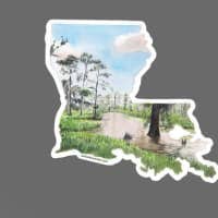 Rachel Alvarez Art - Wholesale Sticker - Louisiana State Vinyl Laptop Decal Sticker (mini)1