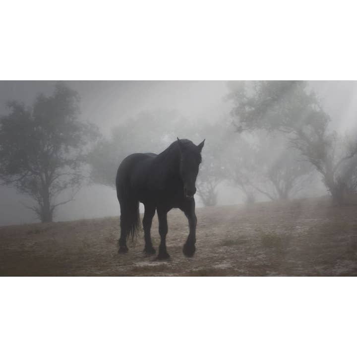 11 x 14 Medieval In The Mist Canvas Print for wholesale by Amanda Smith Western Art, LLC