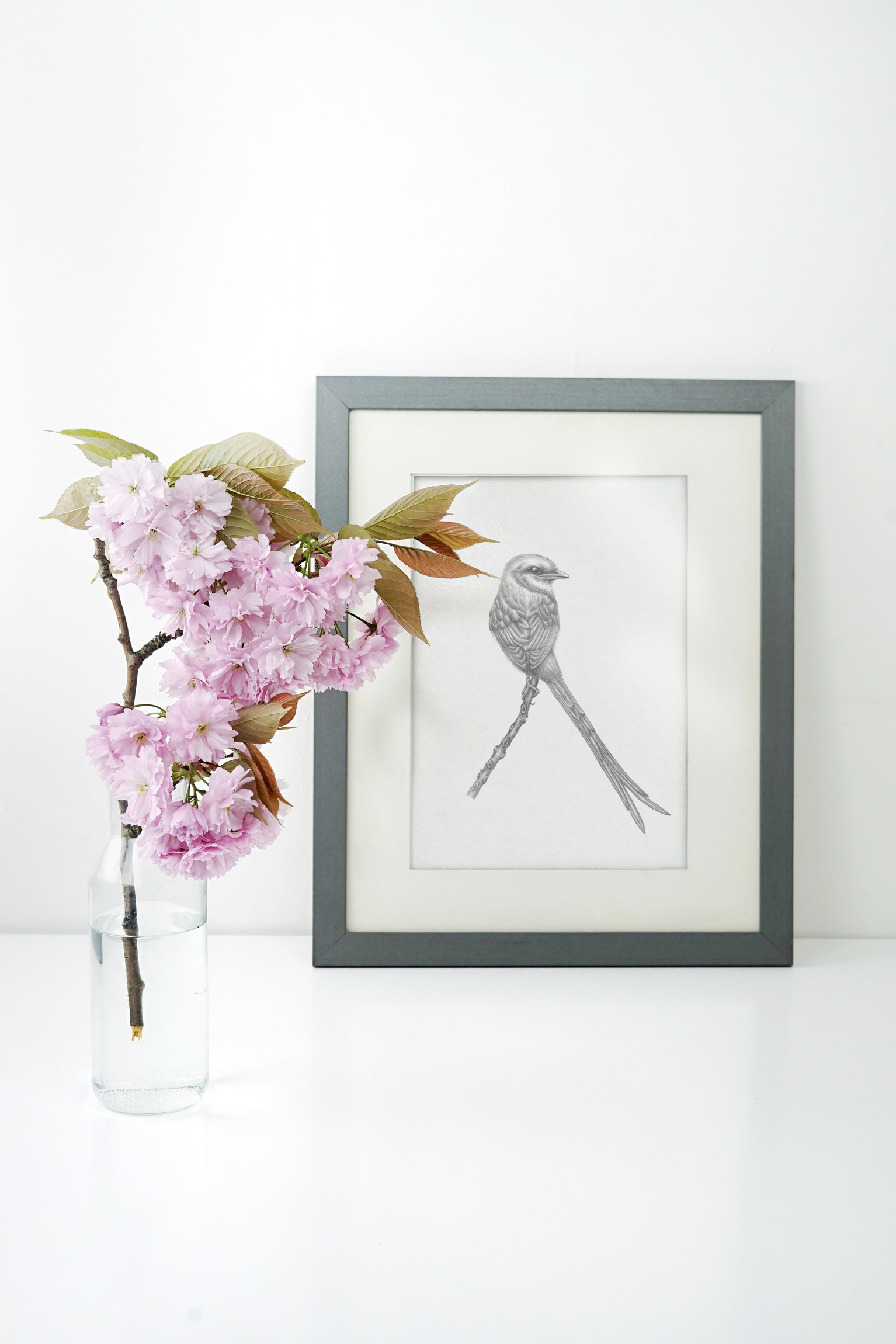 North Roots Collective - Wholesale Art Print - 8 x 10 The Tyrant Print1